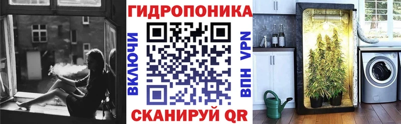 Бошки марихуана сатива  Первомайск 